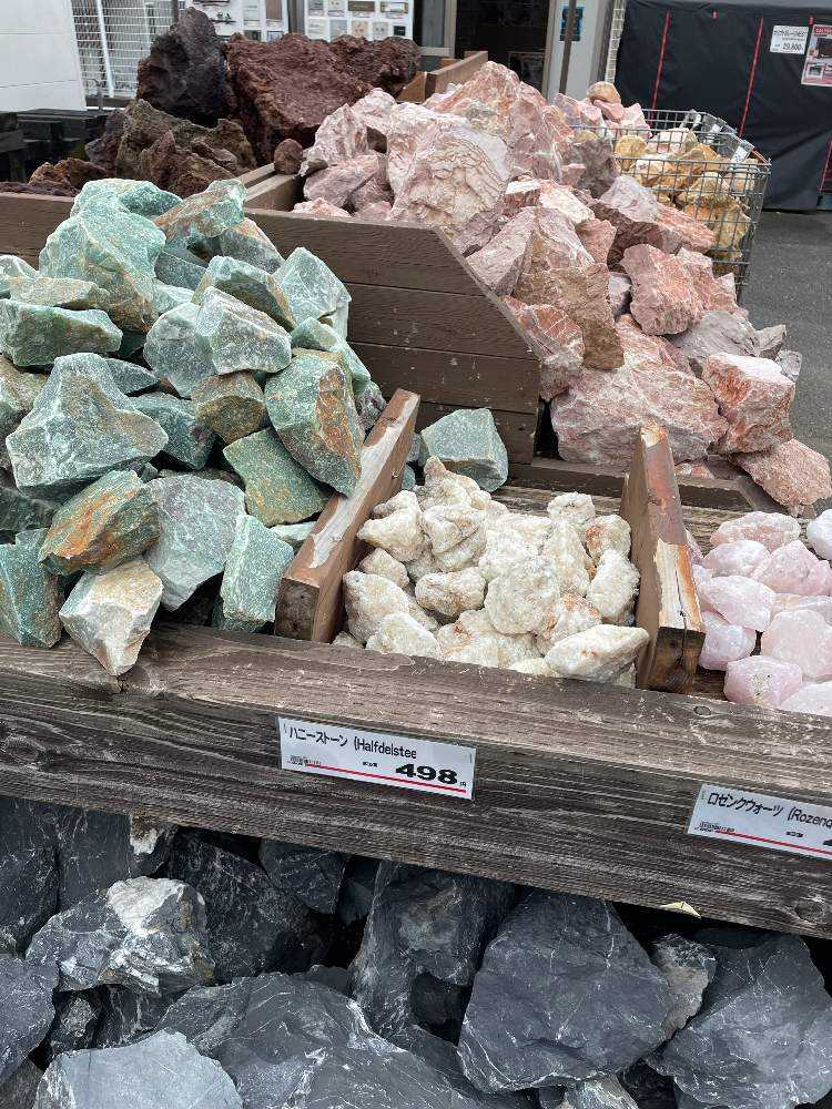 ハビタットスタイルを求めて｜🍀GreenSnap（グリーンスナップ）