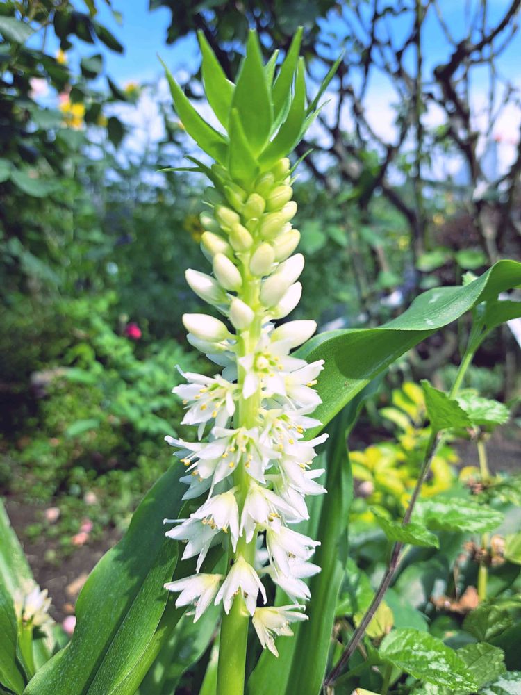 エリィさんの港の見える丘公園への投稿