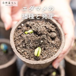 ガーデニング,植物のある暮らし,肥料,プランター栽培,ベランダ菜園の画像