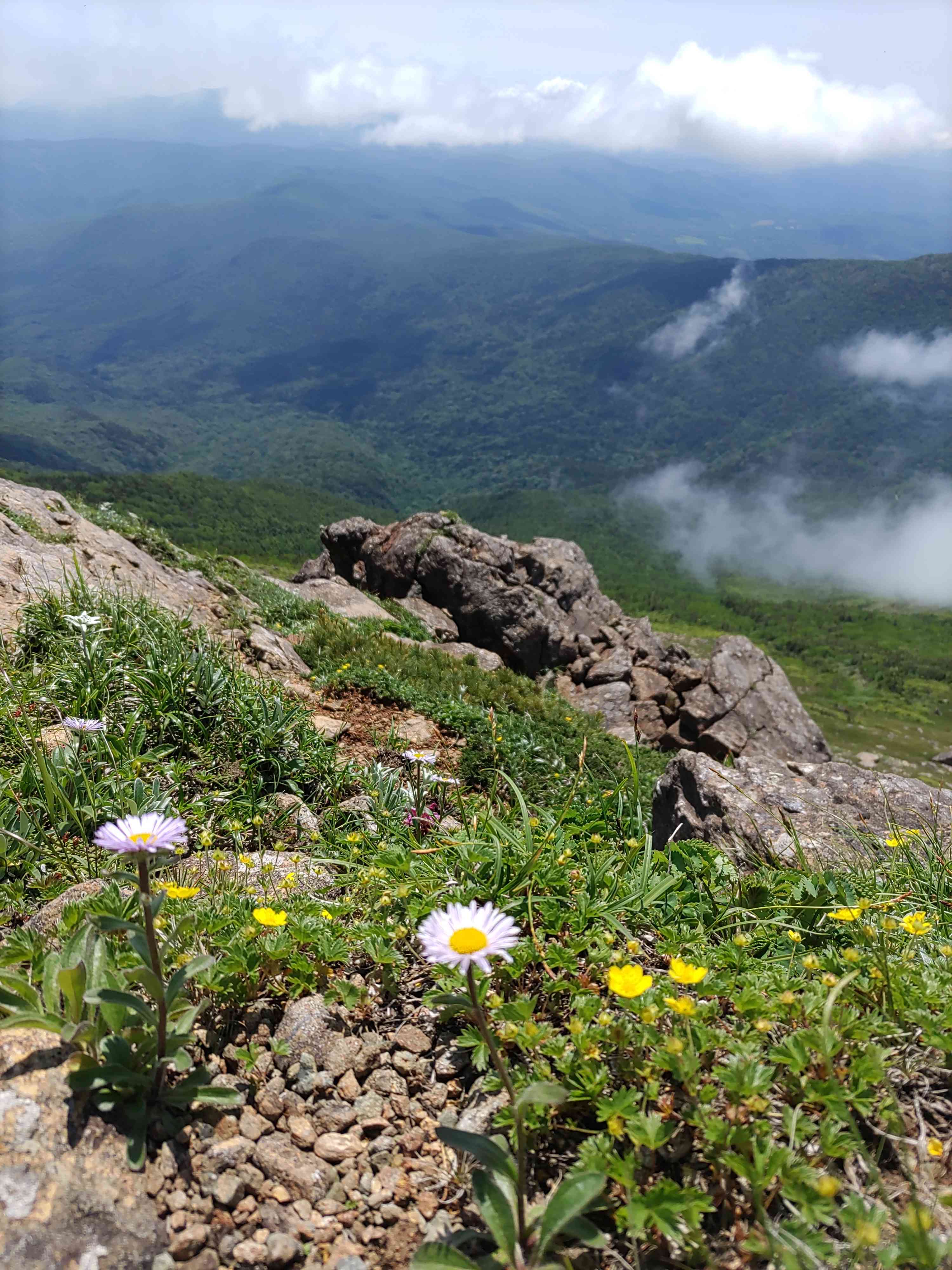 岩手の名峰 早池峰山(1917㍍)に登ってきました。｜ GreenSnap（グリーンスナップ）