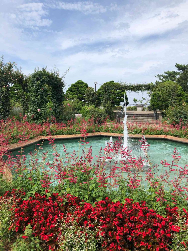 ピリチャンさんの港の見える丘公園への投稿