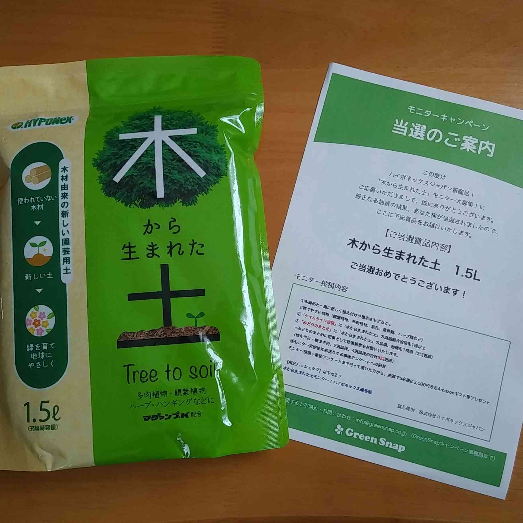 木から生まれた土』*モニター 多肉植物を育てます！｜🍀GreenSnap（グリーンスナップ）