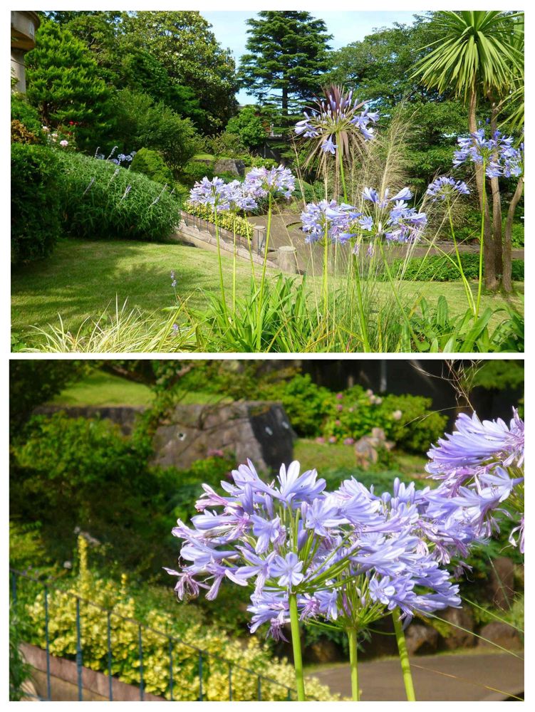 masaharuさんの港の見える丘公園への投稿