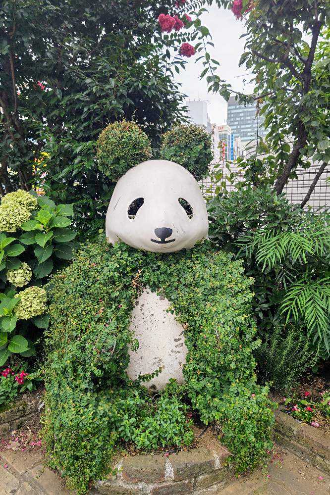 No.335 上野不忍池の蓮を観に再訪。2023/0715 6:40〜8:00｜🍀GreenSnap