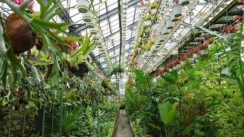 抽象的なパステル画 植物と球体宙花 ARTELIER（アートリエ）