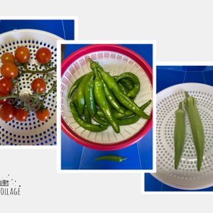 水耕栽培,種から,野菜 水耕栽培,野菜の収穫,無農薬野菜の画像