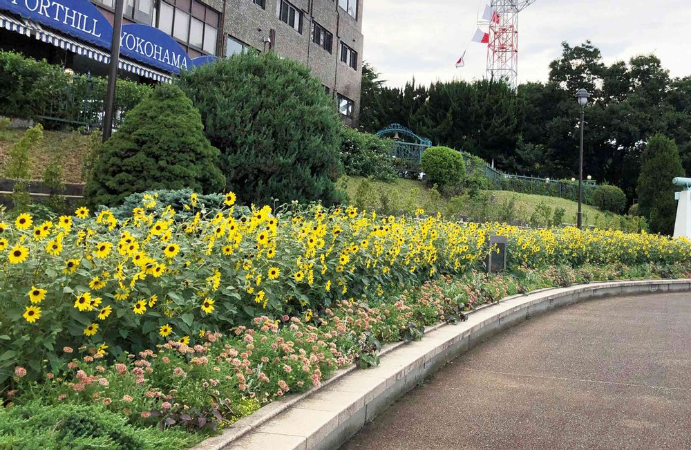 【公式】ガーデンネックレス横浜さんの港の見える丘公園への投稿