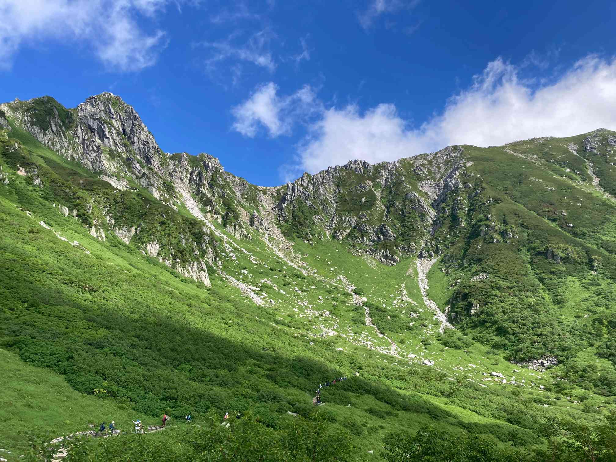 千畳敷カール〜木曽駒ヶ岳登山⛰️7月に出会った高山植物山野草