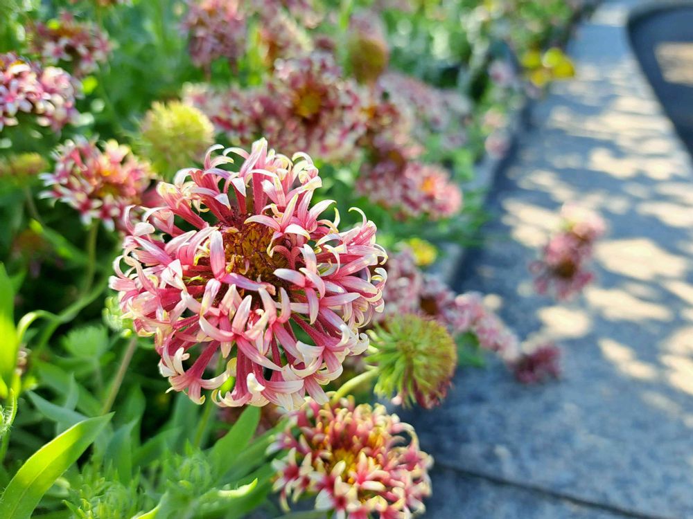 エリィさんの港の見える丘公園への投稿