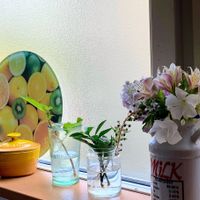 キョウチクトウ,シソ,マサキ,ピンクの花,ビューティフル サンデーの画像