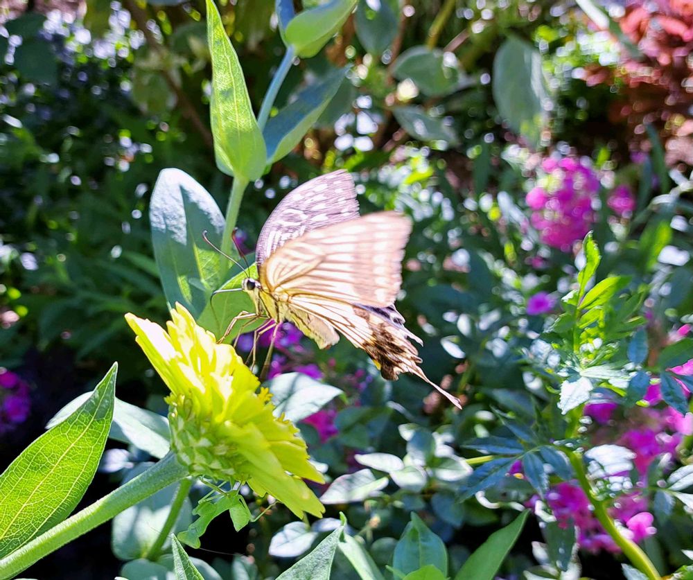 エリィさんの港の見える丘公園への投稿