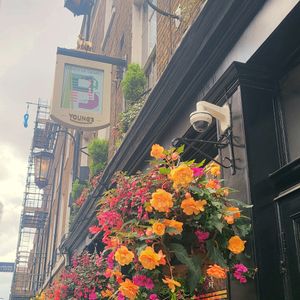 ハンキング,旅行,ロンドン,なつ,イギリスの画像