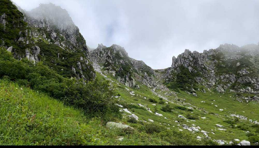 山野草　超希少斑入り　北岳草 2023年 北岳草を探しに | サロマン計画