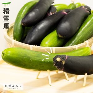 ガーデニング,花のある暮らし,お盆,植物のある暮らし,プランター栽培の画像