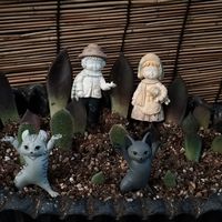 エケベリア,古紫,セトーサ,多肉植物色々,セラーナの画像