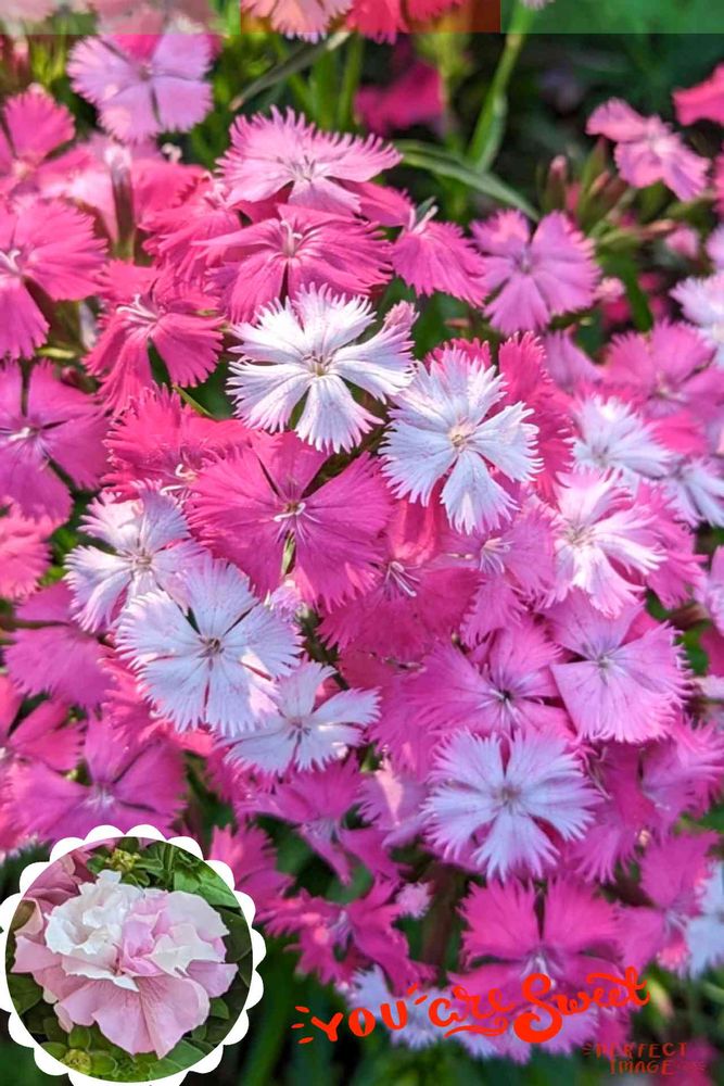 hirarinさんの中区への投稿