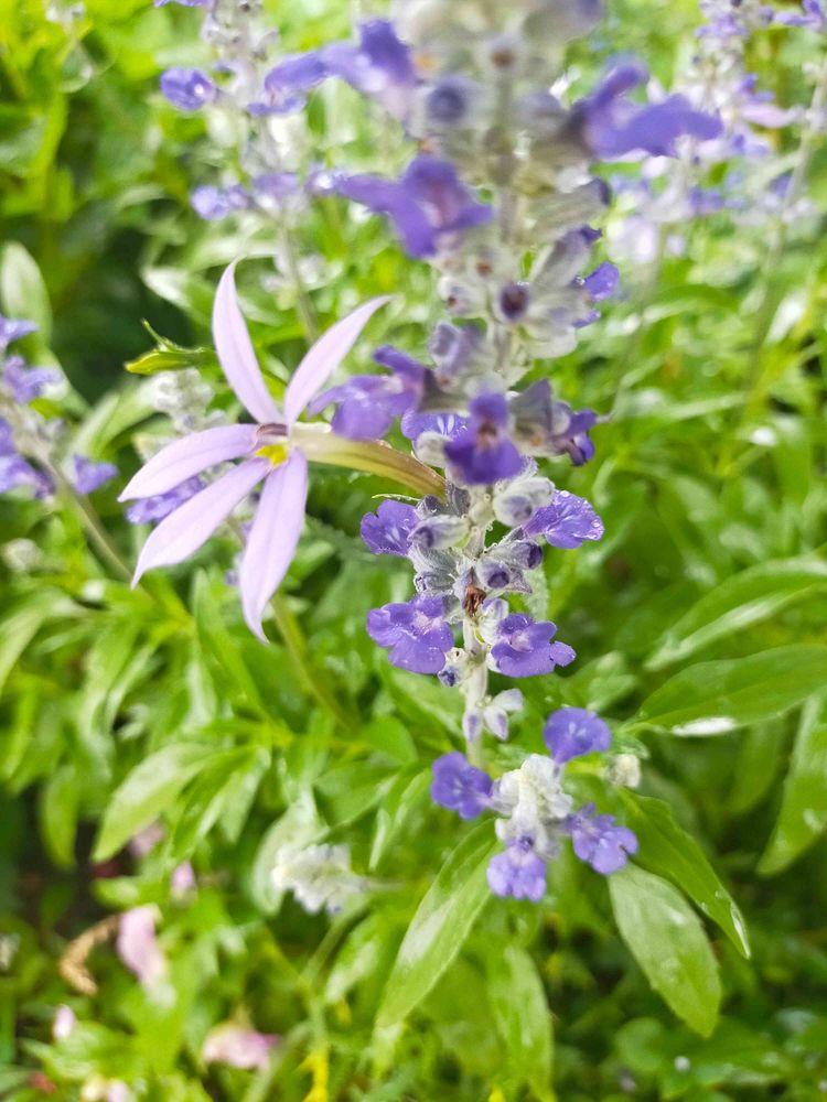 とりさんの港の見える丘公園への投稿