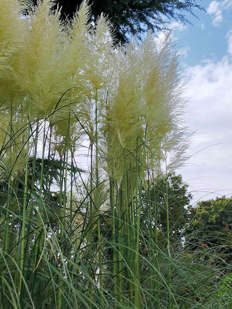 とりさんの港の見える丘公園への投稿