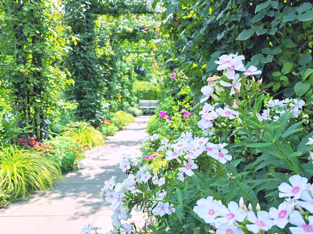 エリィさんの港の見える丘公園への投稿