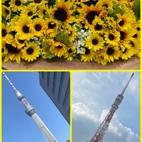 今日も笑顔で♡,コラージュ仲間達,お花大好き♡,東京タワー,笑顔配達人♡の画像