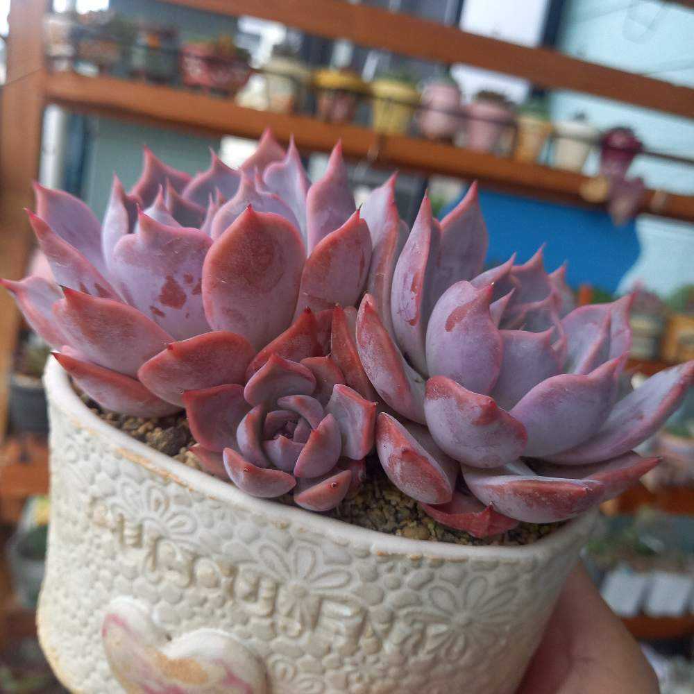 1692403190777_thum_870665_2023