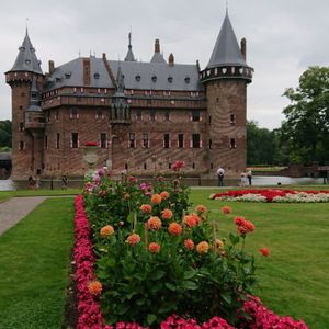 赤い花,レンガ,満開,花のある暮らし,オランダの画像