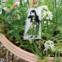 スイートアリッサム ,お散歩ちゃん,お散歩ちゃんキーホルダー,我が家の玄関先,スイートアリッサム 白の画像