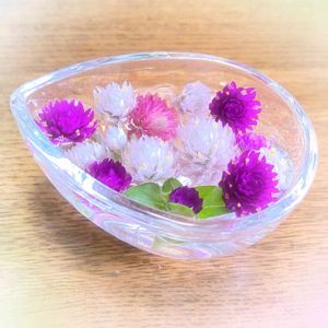 センニチコウ,切り花,白・しろ・ホワイト,桜・もも・ピンク,部屋の画像