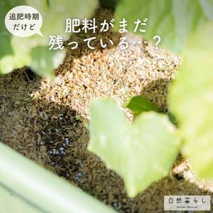 ガーデニング,花のある暮らし,植物のある暮らし,肥料,プランター栽培の画像