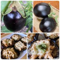 米ナス,実のなる植物,キッチン,家庭菜園の画像