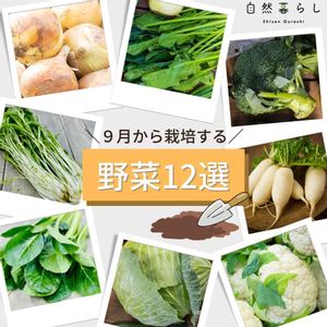 ガーデニング,植物のある暮らし,肥料,プランター栽培,ベランダ菜園の画像