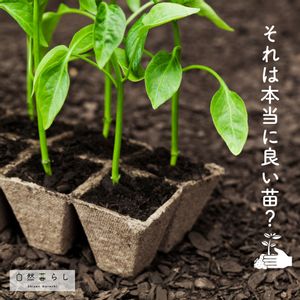 ガーデニング,植物のある暮らし,肥料,プランター栽培,ベランダ菜園の画像