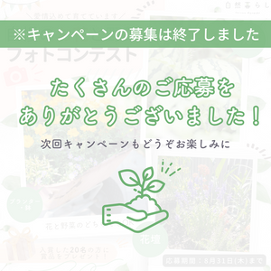 ガーデニング,花のある暮らし,植物のある暮らし,肥料,プランター栽培の画像