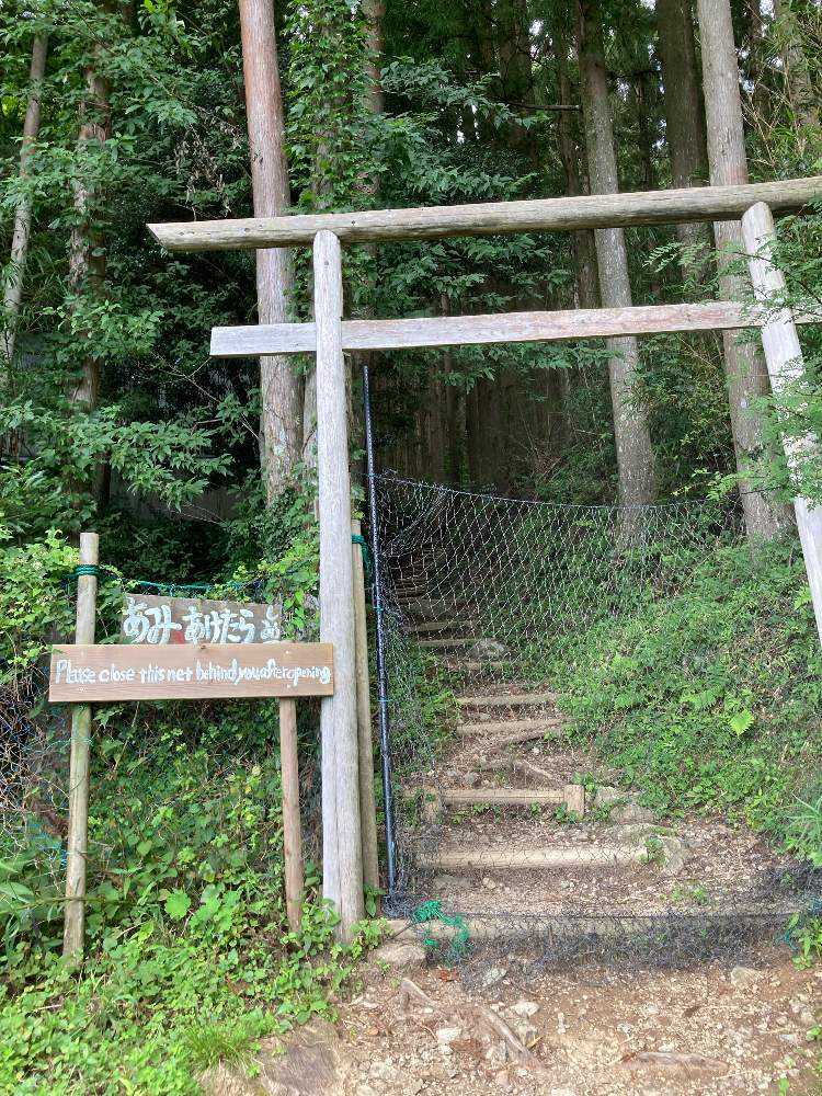 苔の森🌳｜🍀GreenSnap（グリーンスナップ）