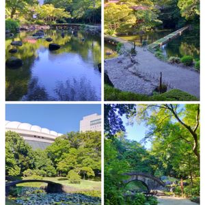 日本庭園,庭園,神秘的,江戸時代,小石川後楽園の画像