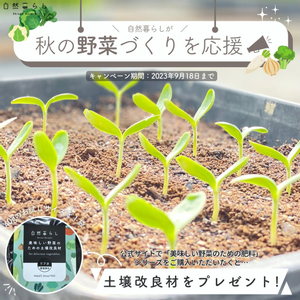 ガーデニング,植物のある暮らし,肥料,プランター栽培,ベランダ菜園の画像