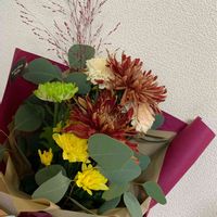 キク,ユーカリポポラス,今日のお花,お気に入り,花いろいろの画像