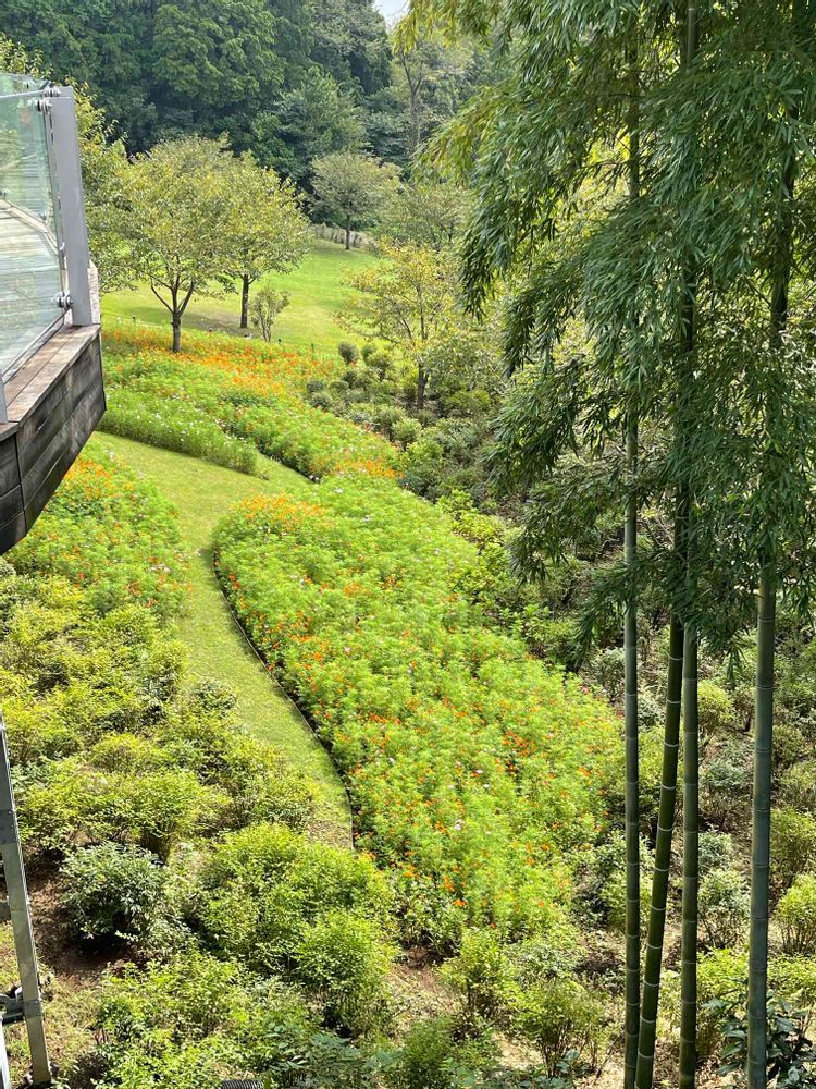 ミーシーさんの里山ガーデン（大花壇）への投稿