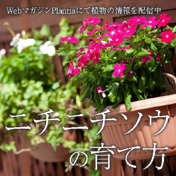 肥料アンバサダー2023の画像