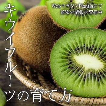 肥料アンバサダー2023の画像