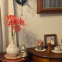 マンジュシャゲ（曼殊沙華／彼岸花）,花言葉,GS映え,誕生花,花のある暮らしの画像