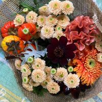 ガーベラ,小さな花束,植物のある暮らし,綺麗,可愛いの画像