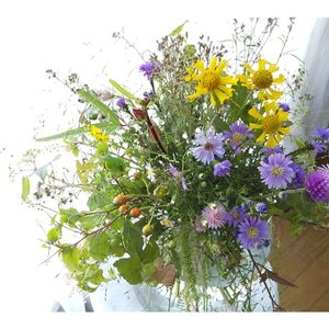 癒やしの空間,野草を生けたい♪,実好き,元気になれるね,黄色の花の画像