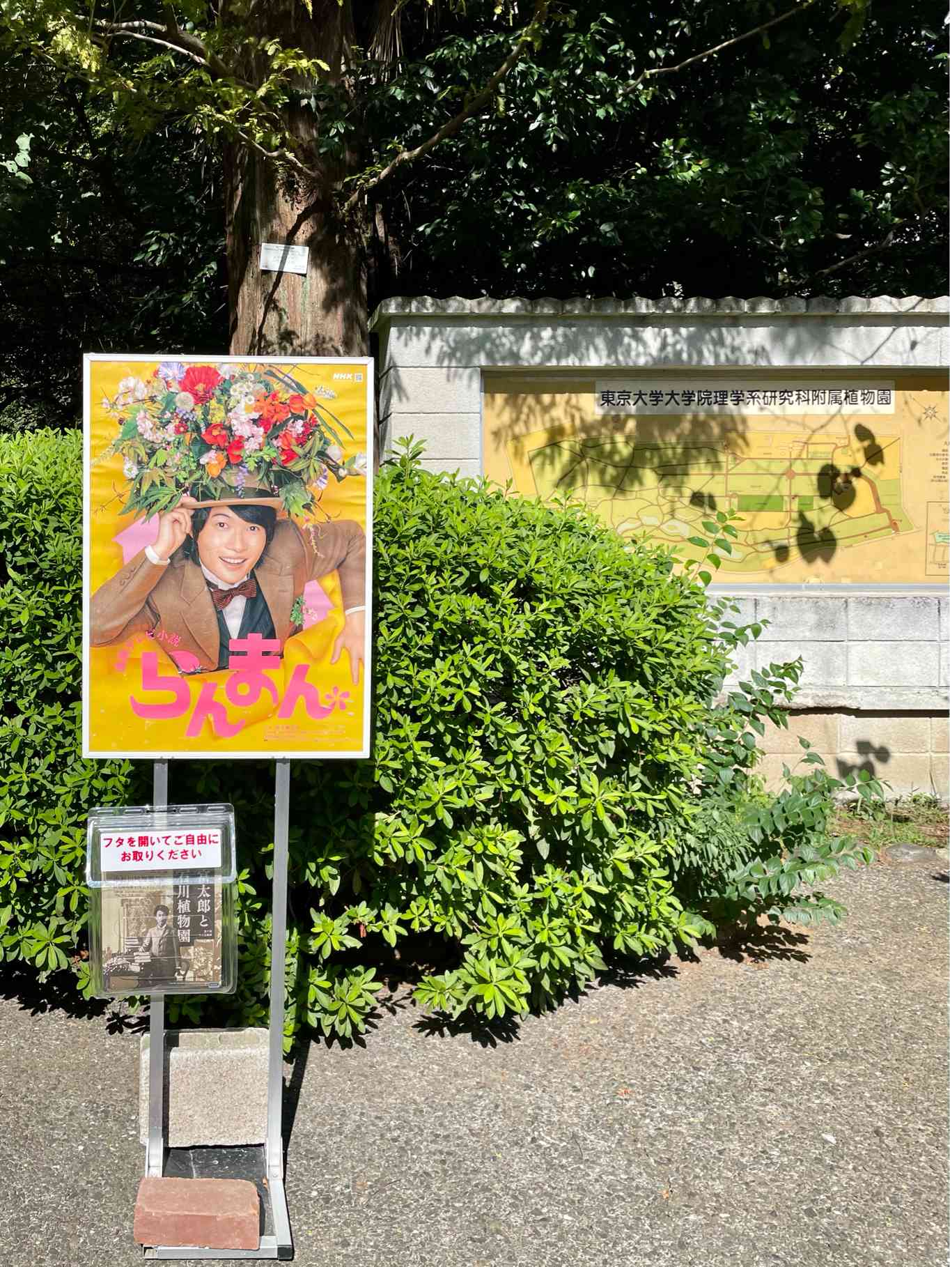 牧野富太郎ゆかりの地を歩く2 小石川植物園｜🍀GreenSnap