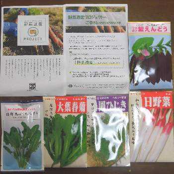 さびねこ,黒ニャンコ隊,プチ田舎暮らし,我が家のにゃんこ,古民家再生計画の画像