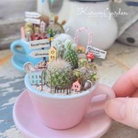 猩々丸,箱庭 多肉植物,サボテン,箱庭 サボテン,箱庭の画像