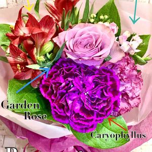 照明と植物,スマホ撮影,がんに負けるな！,ブーケ,人に優しくの画像