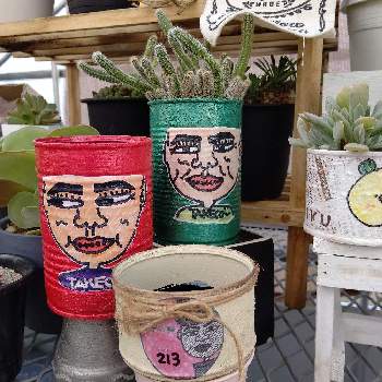 多肉植物,サボテン☆,お花の画像