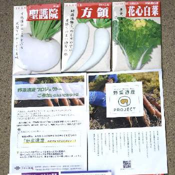 裏庭,畑サイクル除草ピーラー,開拓中,ここちいい時間,畑サイクルの画像