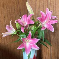 ユリ,カサブランカ,ユリ花粉症,良い香り,部屋の画像
